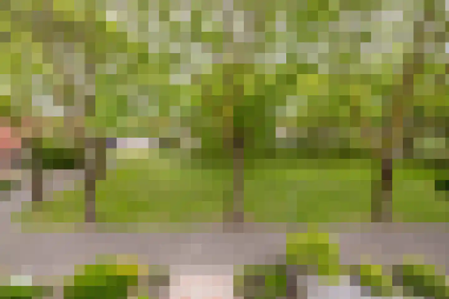 Hogerlust 7 Middenbeemster thumbnail 5