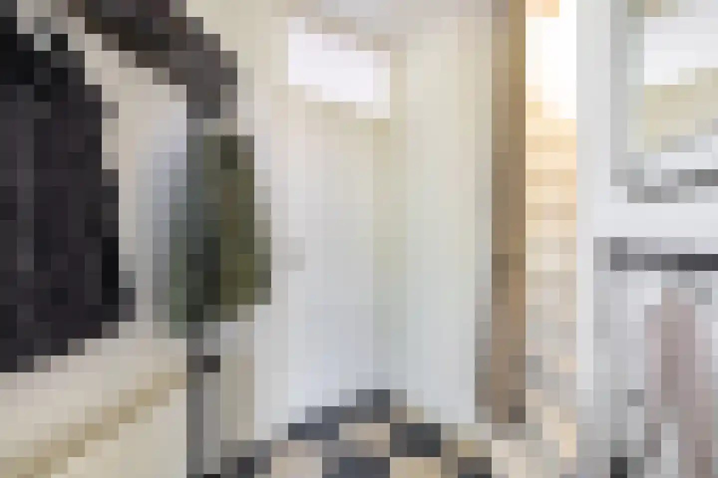 Hogerlust 7 Middenbeemster thumbnail 8