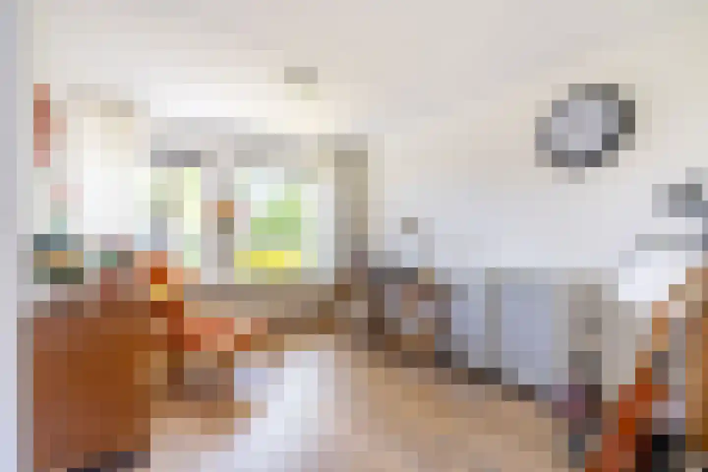 Hogerlust 7 Middenbeemster thumbnail 9