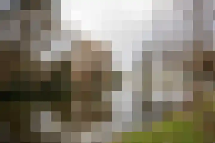 Hogerlustlaan 47 Ouderkerk aan de Amstel thumbnail 34