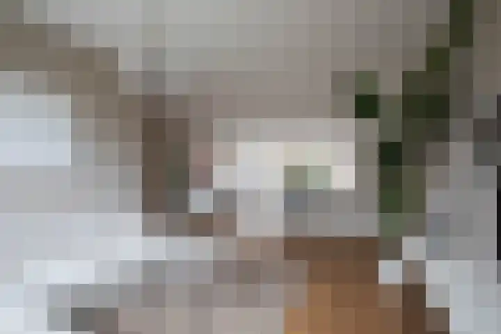 Hogerlustlaan 47 Ouderkerk aan de Amstel thumbnail 9