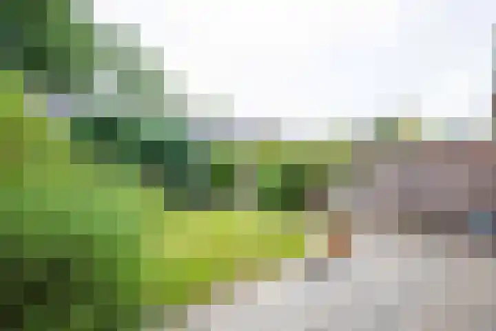Hogerlustlaan 50 Ouderkerk aan de Amstel thumbnail 34