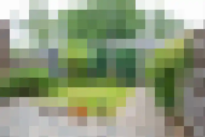 Hogerlustlaan 50 Ouderkerk aan de Amstel thumbnail 35