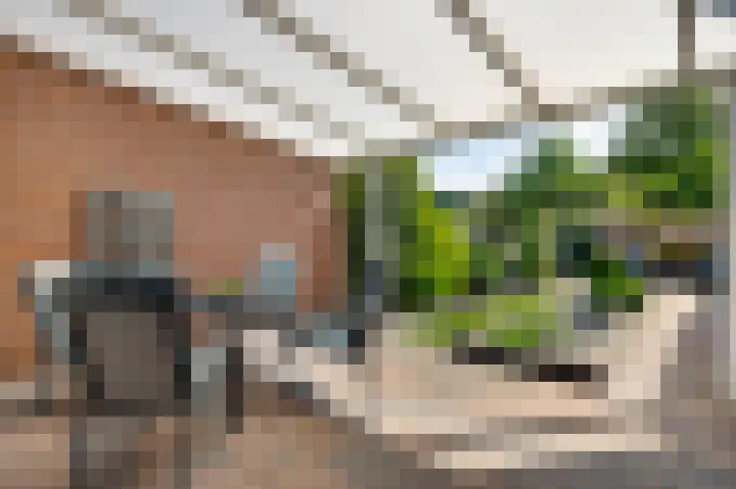 Hogerweide 1 Weert thumbnail 28