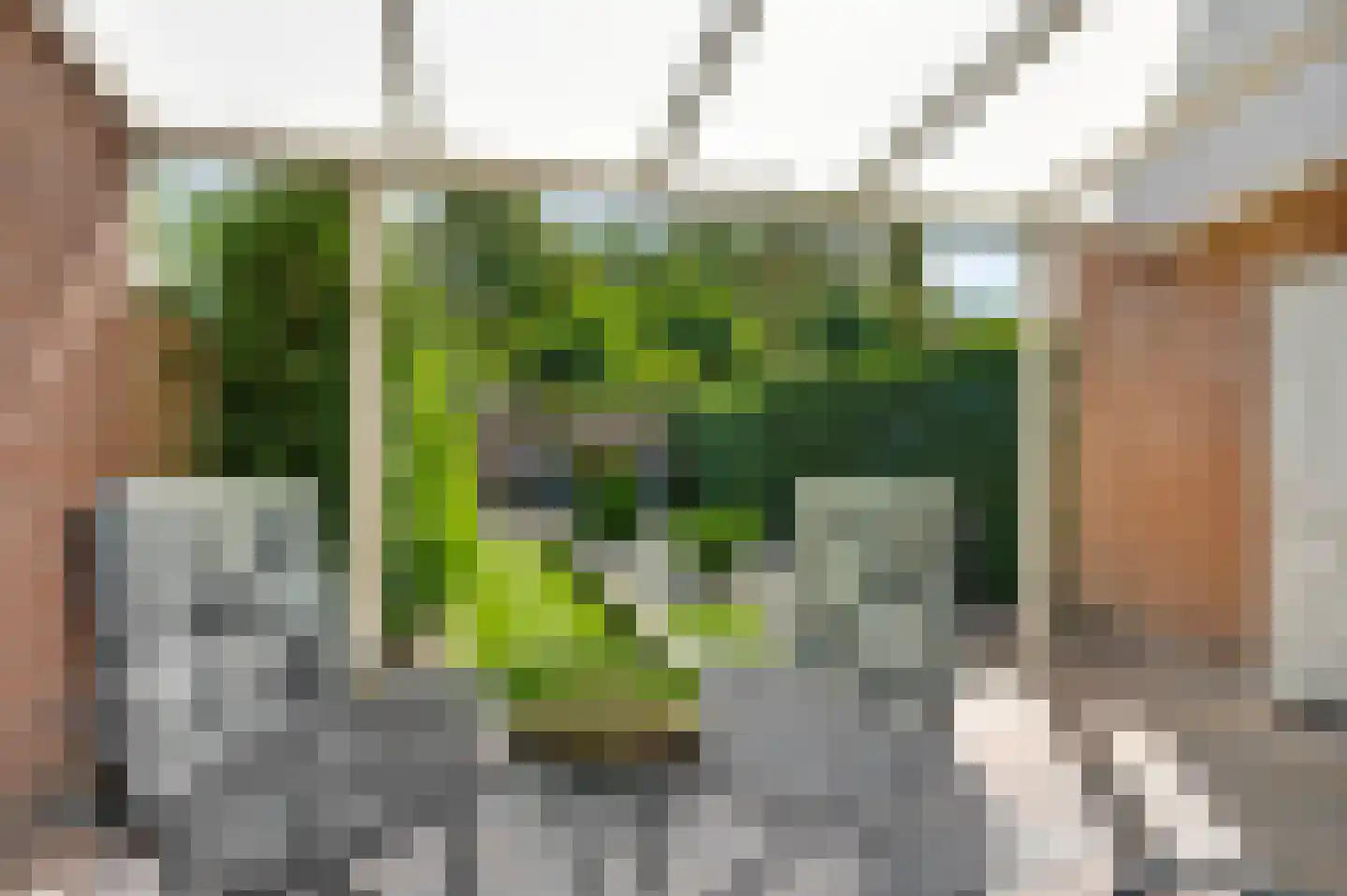 Hogerweide 1 Weert thumbnail 29