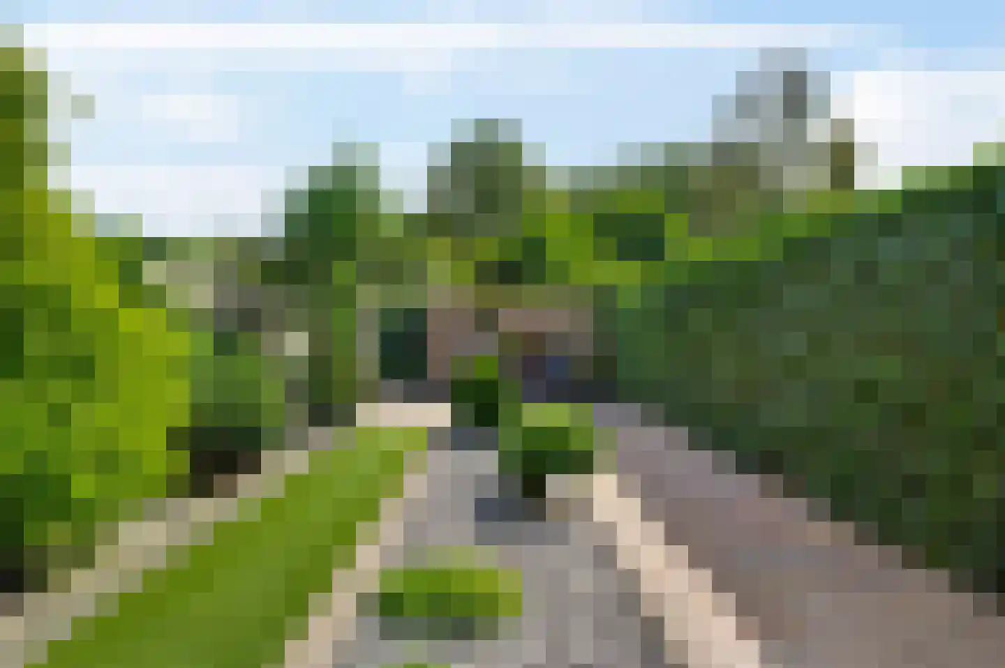 Hogerweide 1 Weert thumbnail 31
