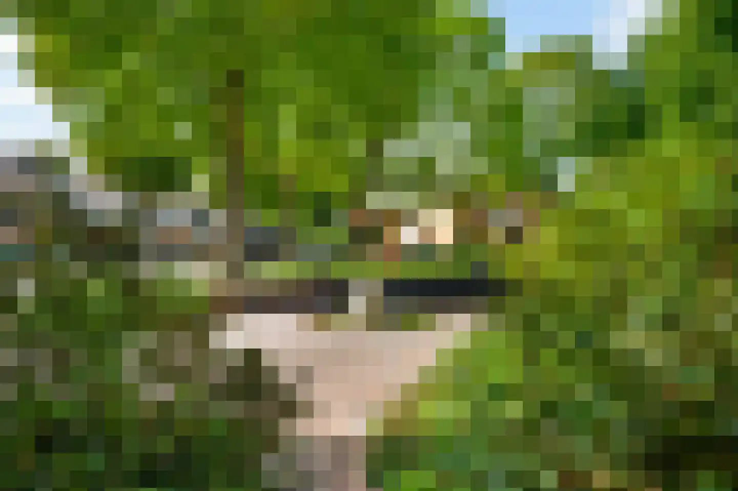 Hogerweide 1 Weert thumbnail 34