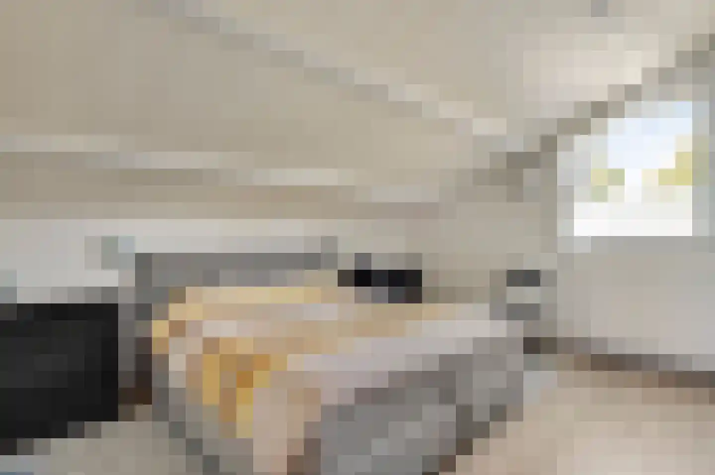 Hogerweide 1 Weert thumbnail 5