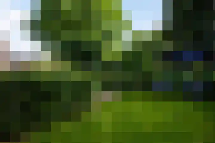 Hogerweide 29 Weert thumbnail 34