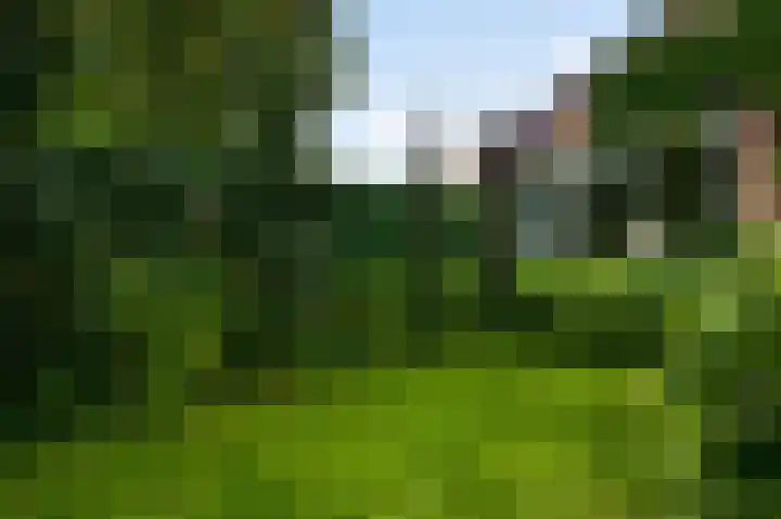 Hogerweide 29 Weert thumbnail 35