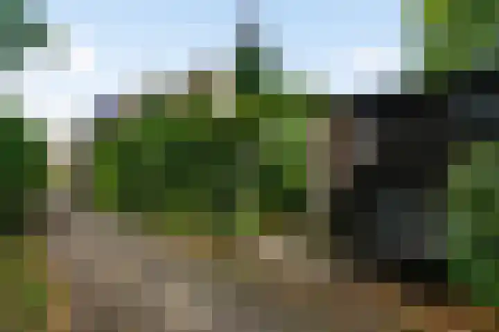 Hogerweide 29 Weert thumbnail 39