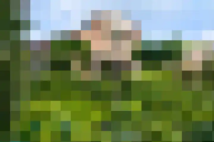 Hogerweide 29 Weert thumbnail 4