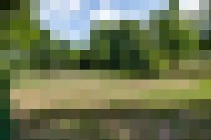 Hogerweide 29 Weert thumbnail 40