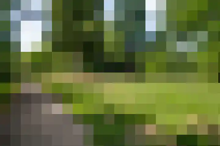 Hogerweide 29 Weert thumbnail 41