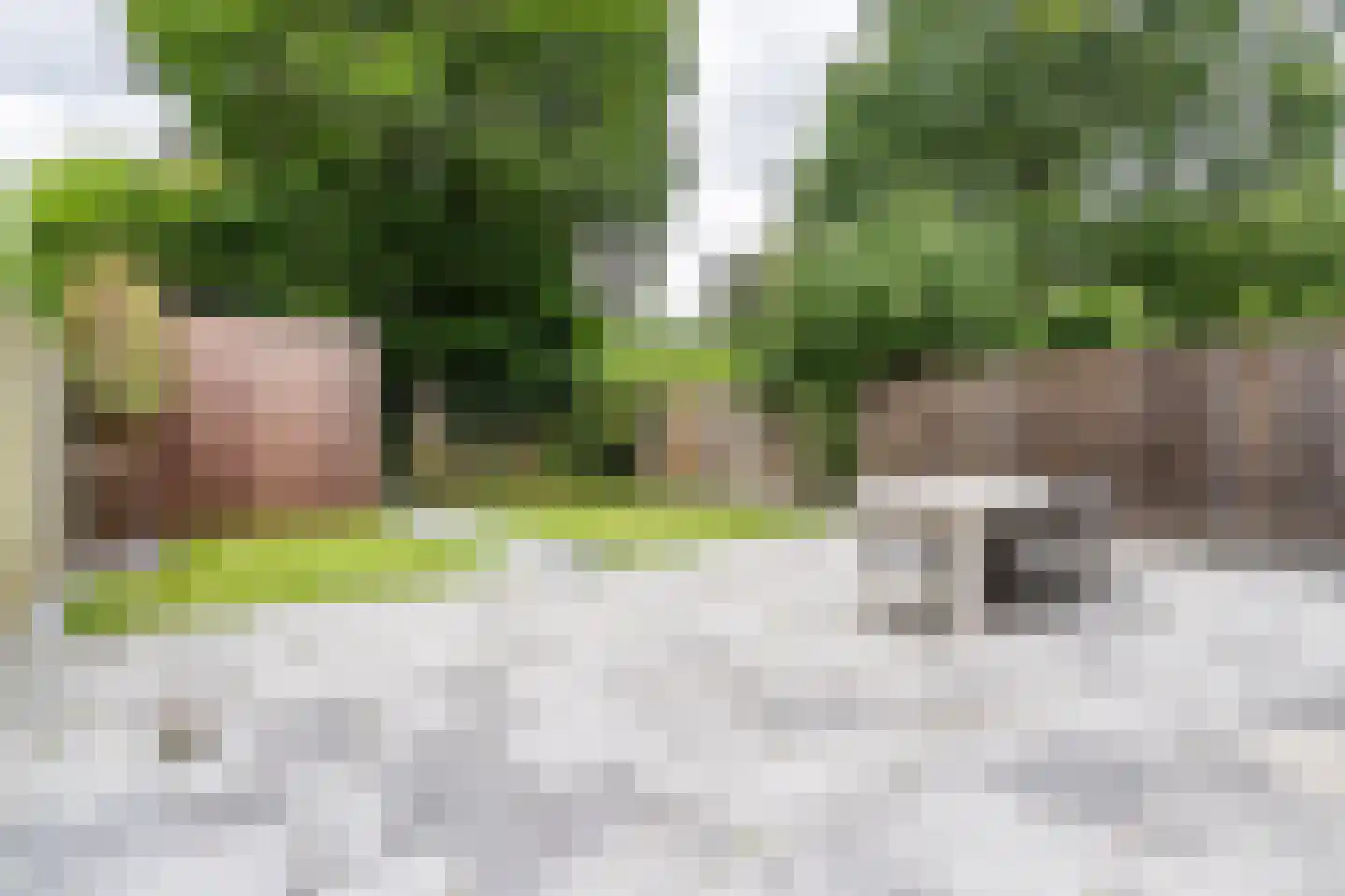 Hogerweide 63 Weert thumbnail 33