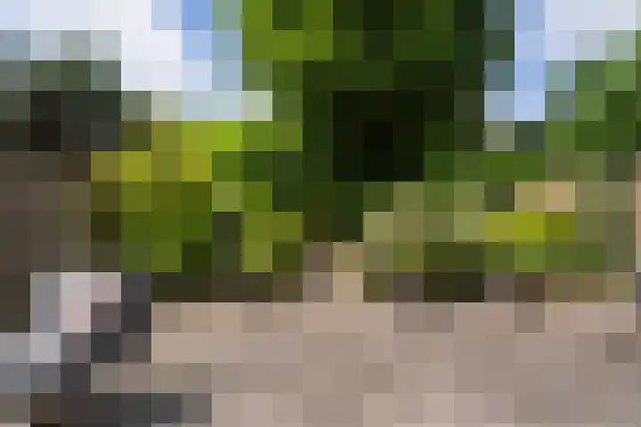 Hogerweide 63 Weert thumbnail 35