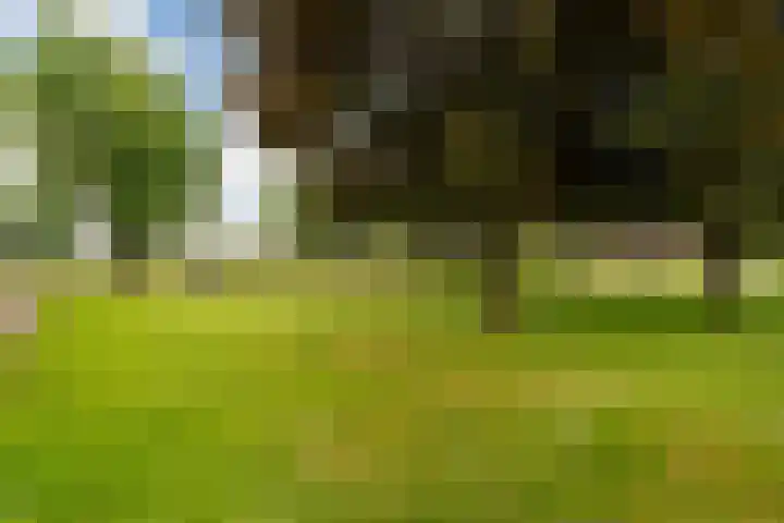 Hogerweide 63 Weert thumbnail 39