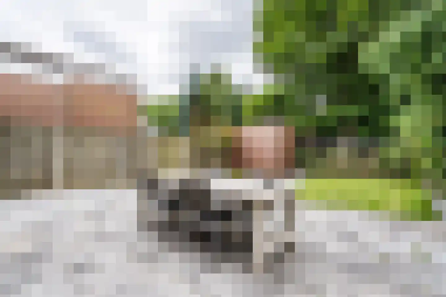 Hogerweide 63 Weert thumbnail 4