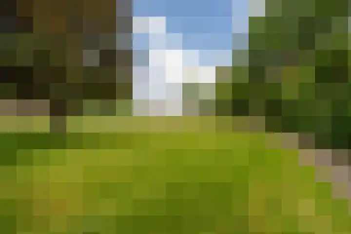 Hogerweide 63 Weert thumbnail 40