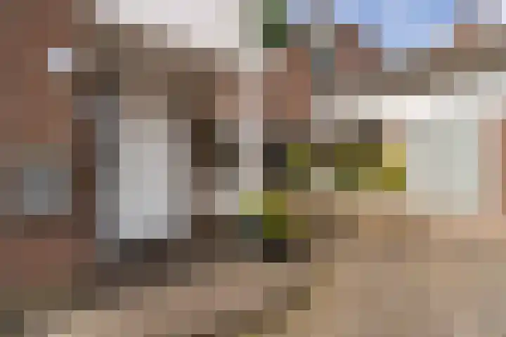 Hogerweide 63 Weert thumbnail 8