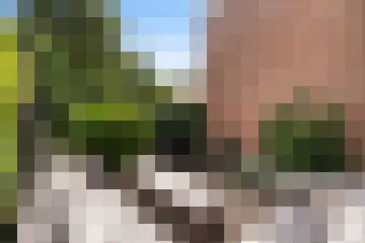 Hogerweide 7 Weert thumbnail 26