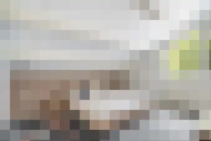 Hogerweide 7 Weert thumbnail 4