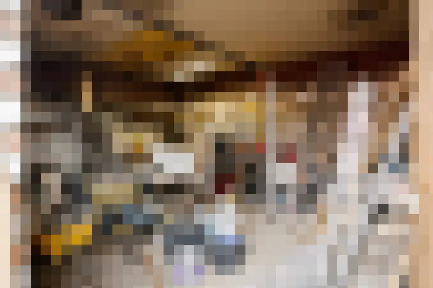 Hogerwoerdstraat 40 Haarlem thumbnail 33
