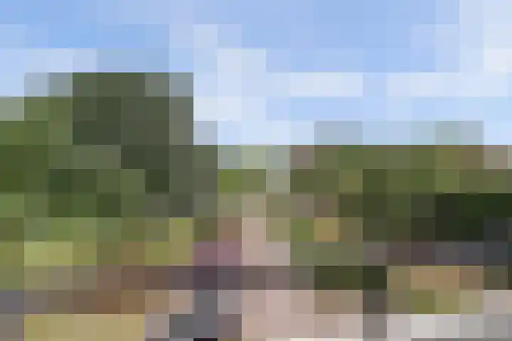 Hogeschoorweg 118 Venlo thumbnail 5