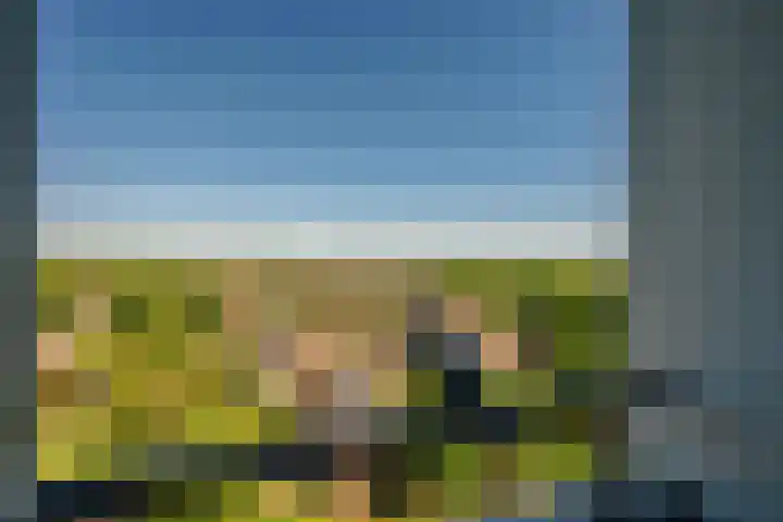 Hogeschoorweg 150 Venlo thumbnail 15