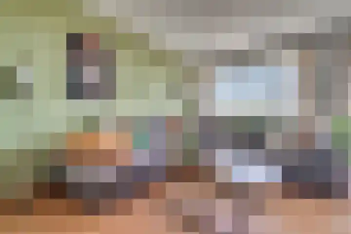 Hogeschoorweg 150 Venlo thumbnail 17
