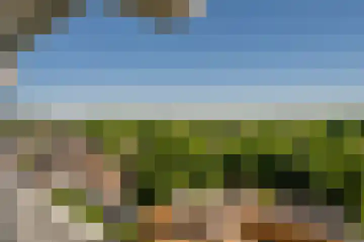 Hogeschoorweg 150 Venlo thumbnail 22