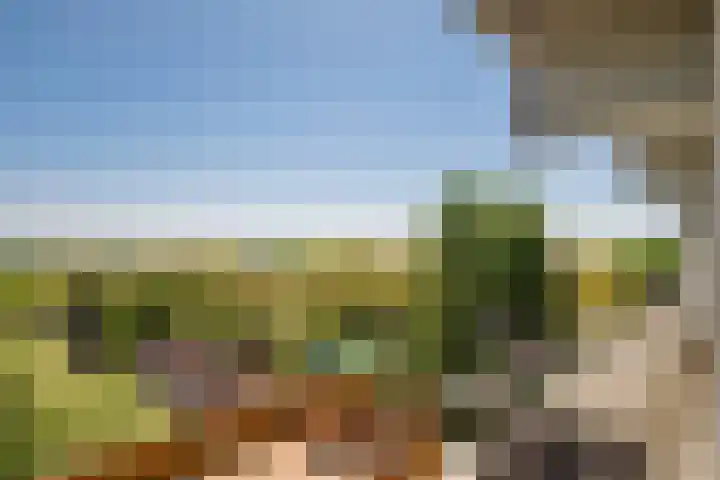 Hogeschoorweg 150 Venlo thumbnail 24