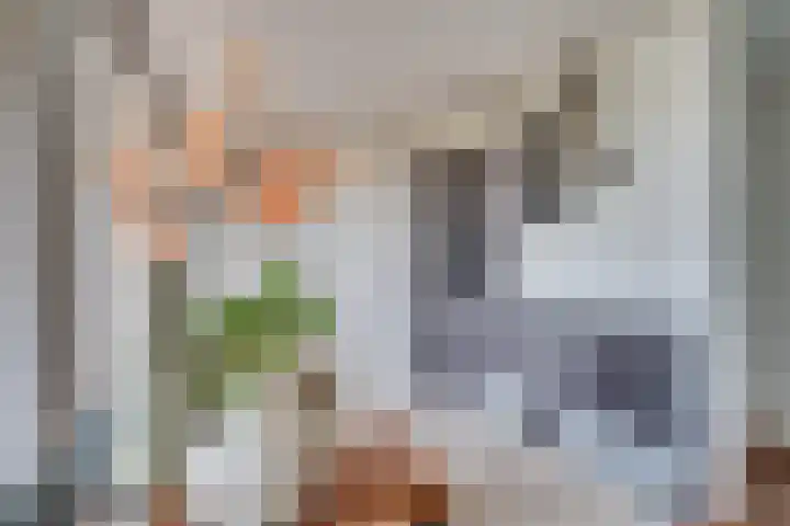 Hogeschoorweg 150 Venlo thumbnail 25