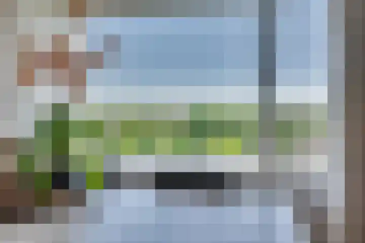 Hogeschoorweg 150 Venlo thumbnail 29