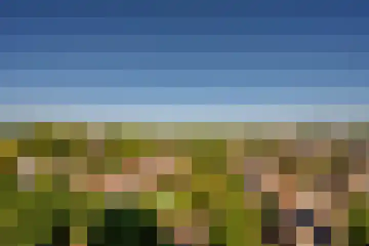 Hogeschoorweg 150 Venlo thumbnail 40