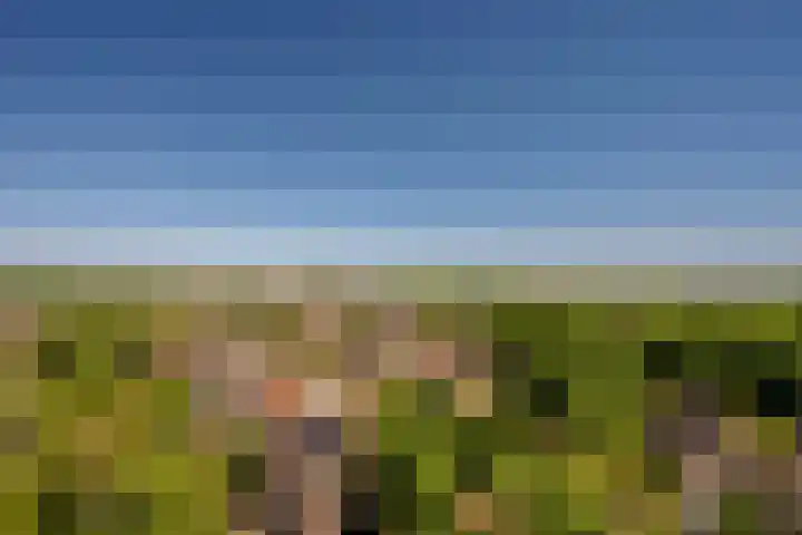 Hogeschoorweg 150 Venlo thumbnail 41
