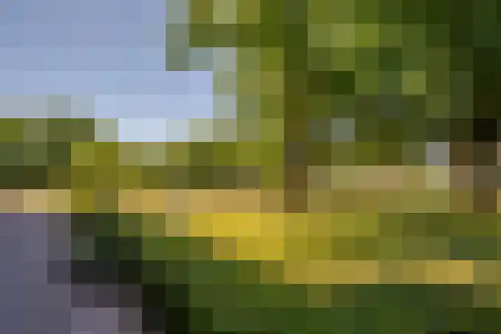 Hogeschoorweg 150 Venlo thumbnail 44