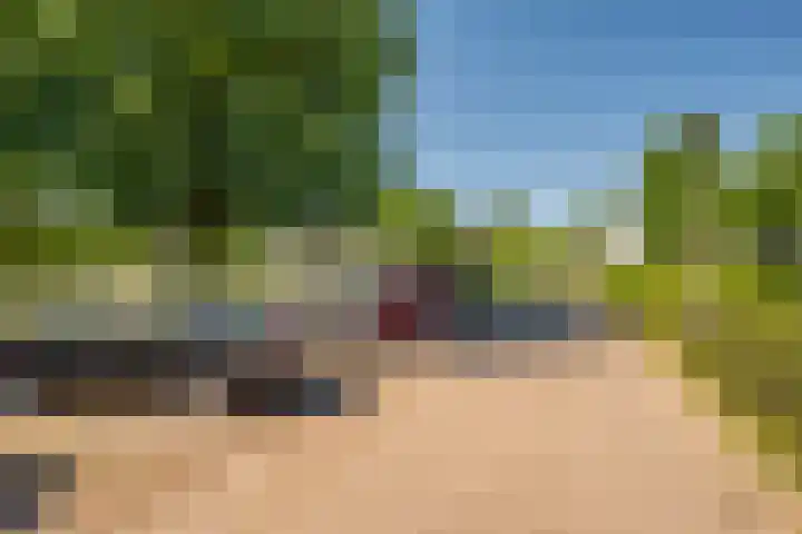 Hogeschoorweg 150 Venlo thumbnail 45