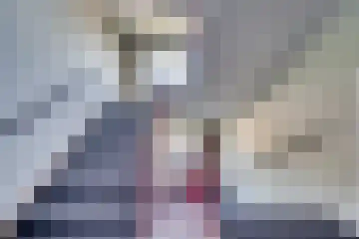 Hogeschoorweg 150 Venlo thumbnail 7
