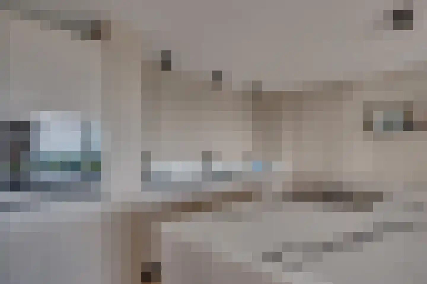 Hogeschoorweg 162 Venlo thumbnail 16
