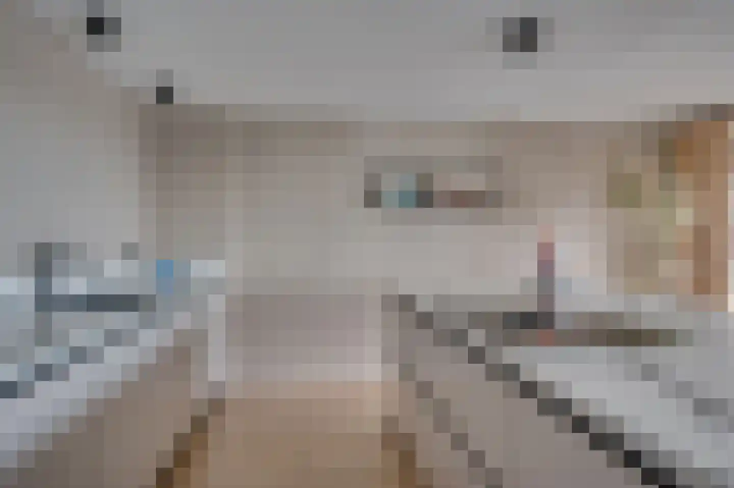 Hogeschoorweg 162 Venlo thumbnail 17