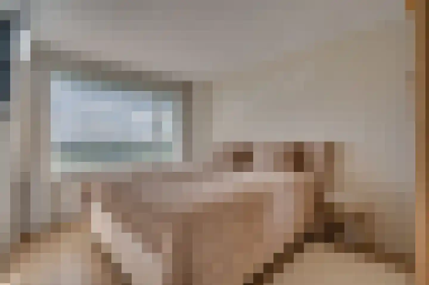 Hogeschoorweg 162 Venlo thumbnail 30