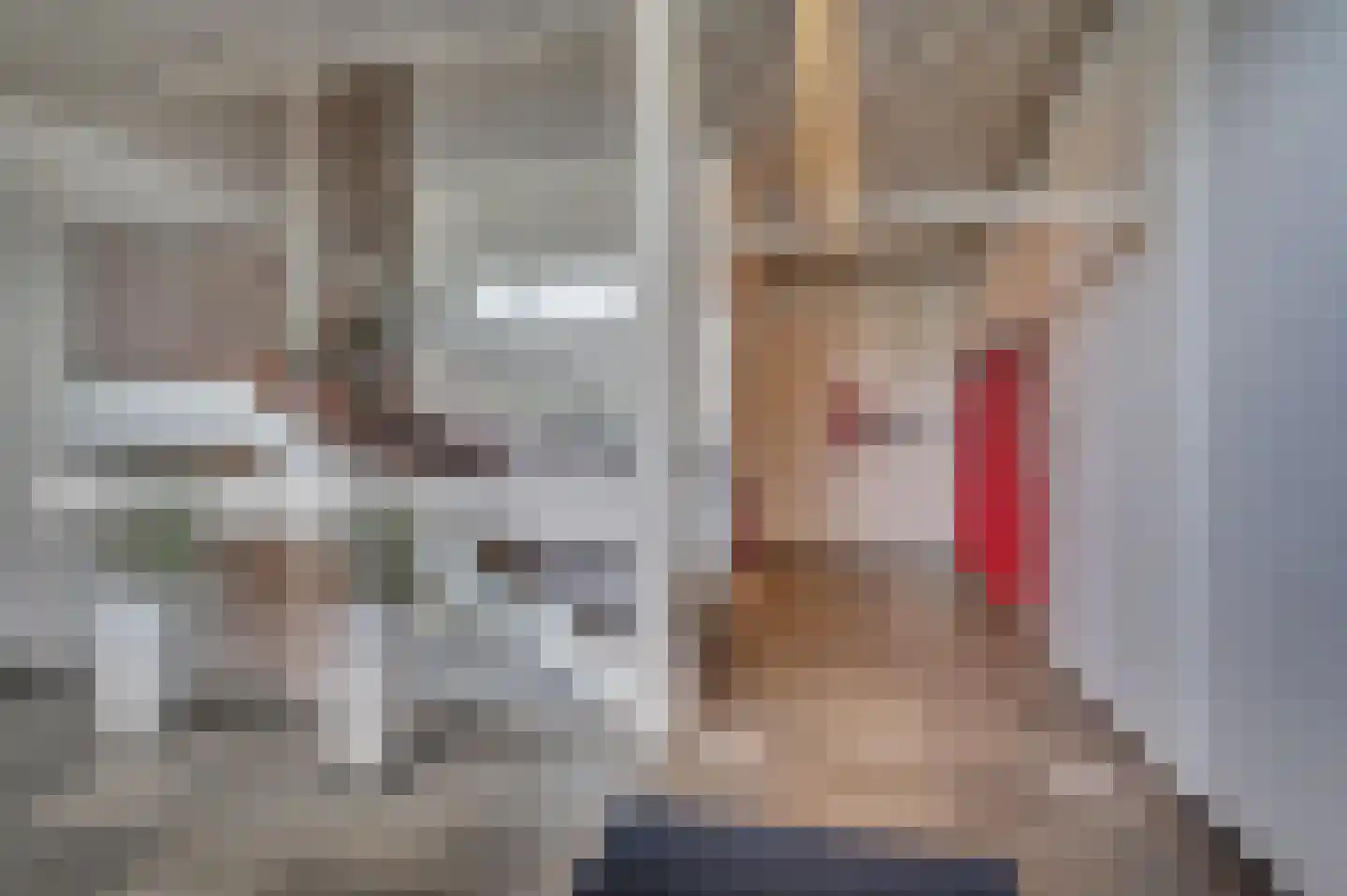 Hogeschoorweg 162 Venlo thumbnail 42
