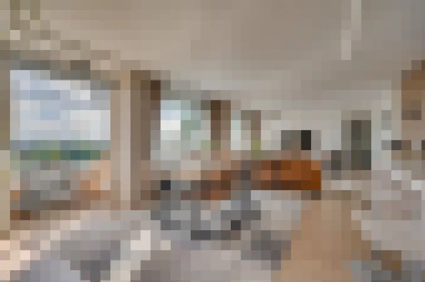 Hogeschoorweg 162 Venlo thumbnail 6