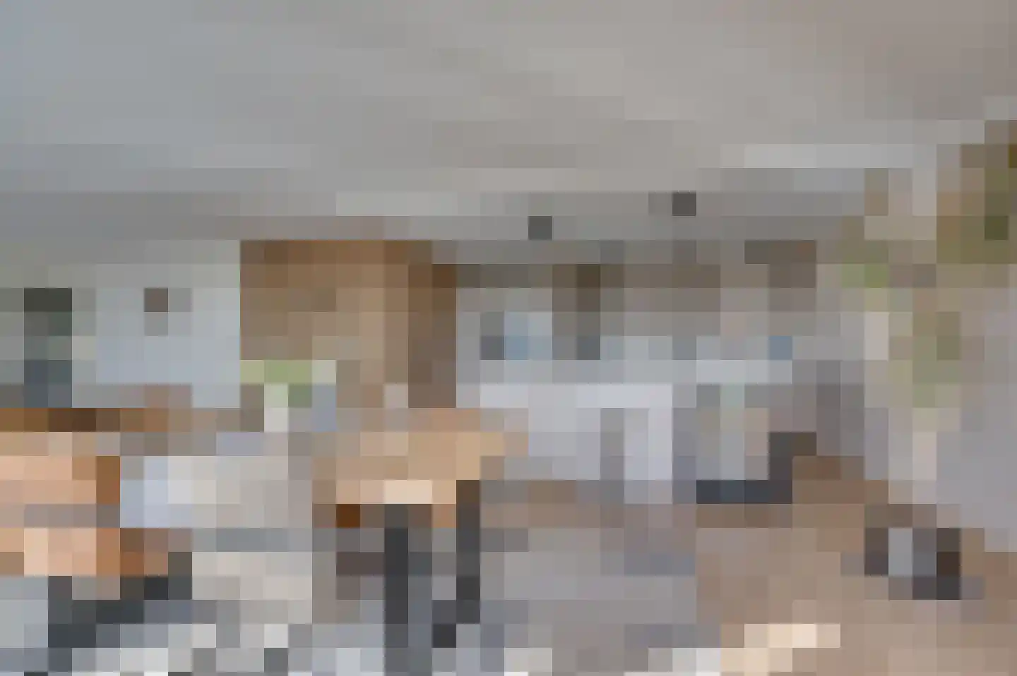 Hogeschoorweg 162 Venlo thumbnail 8