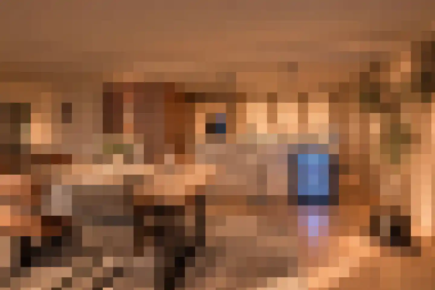 Hogeschoorweg 162 Venlo thumbnail 9
