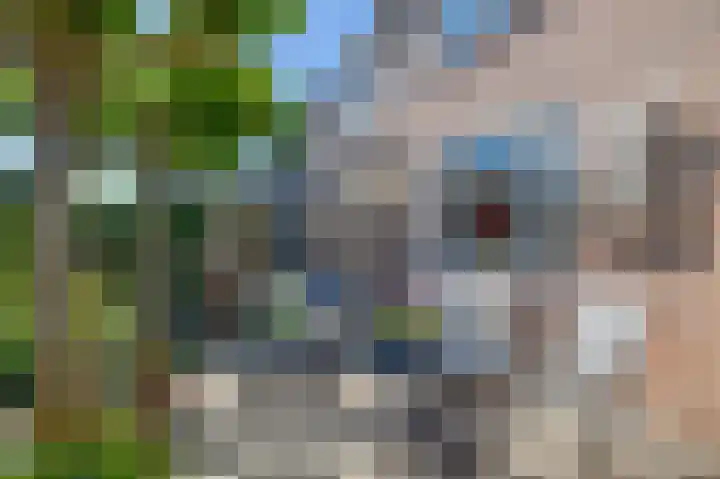 Hogeschoorweg 250 Venlo thumbnail 17