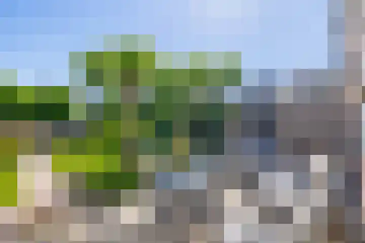 Hogeschoorweg 250 Venlo thumbnail 18