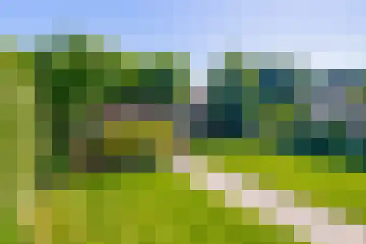 Hogeschoorweg 250 Venlo thumbnail 19