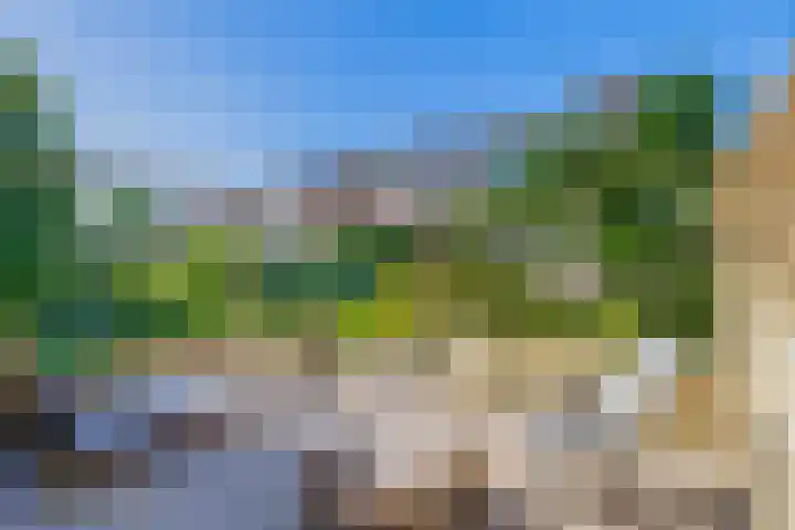 Hogeschoorweg 250 Venlo thumbnail 21